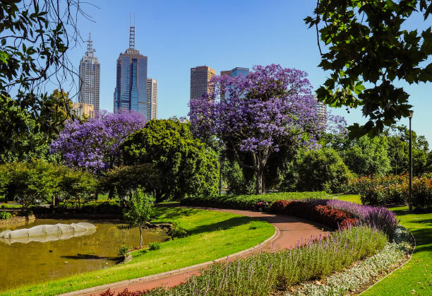 Royal botanic garden Melbourne